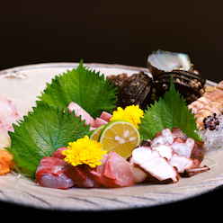 Seasonal fish and delicious sake